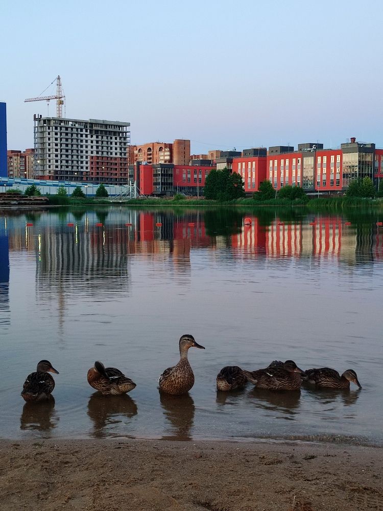 Photograph by Лолита Богачева