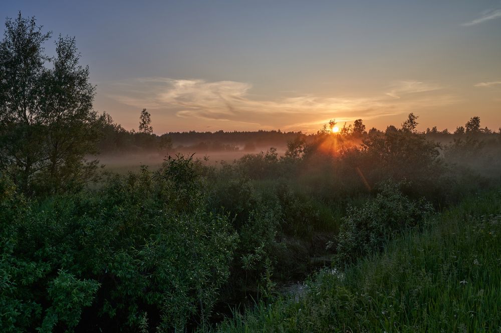 Photograph by Андрей Колеватов