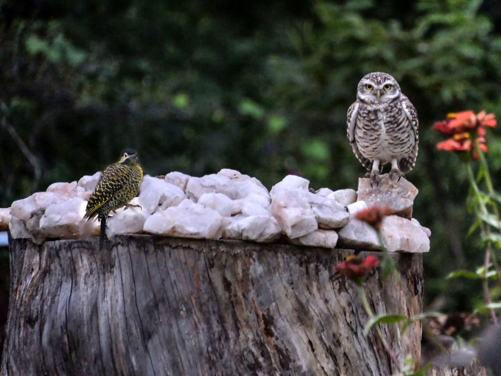 Photograph by Ricardo Kimmich