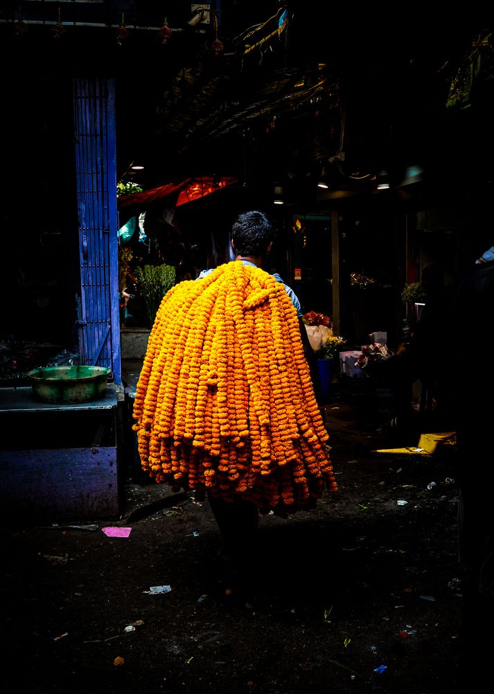 Фотография автора Debapriya Dasgupta