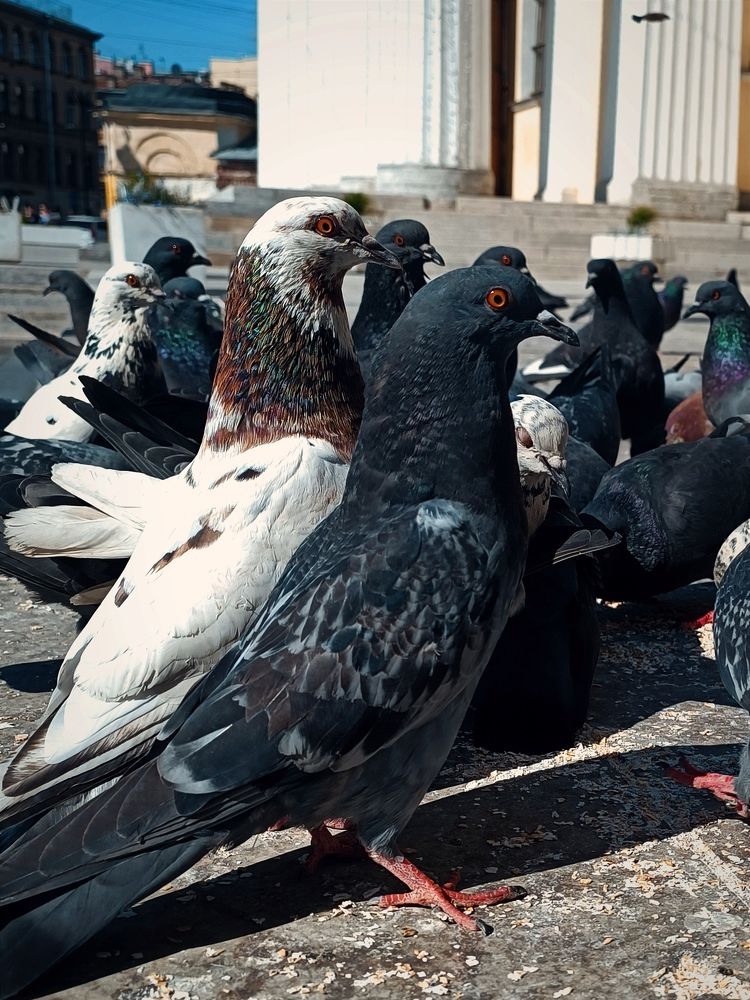 Photograph by Марина Хохрякова