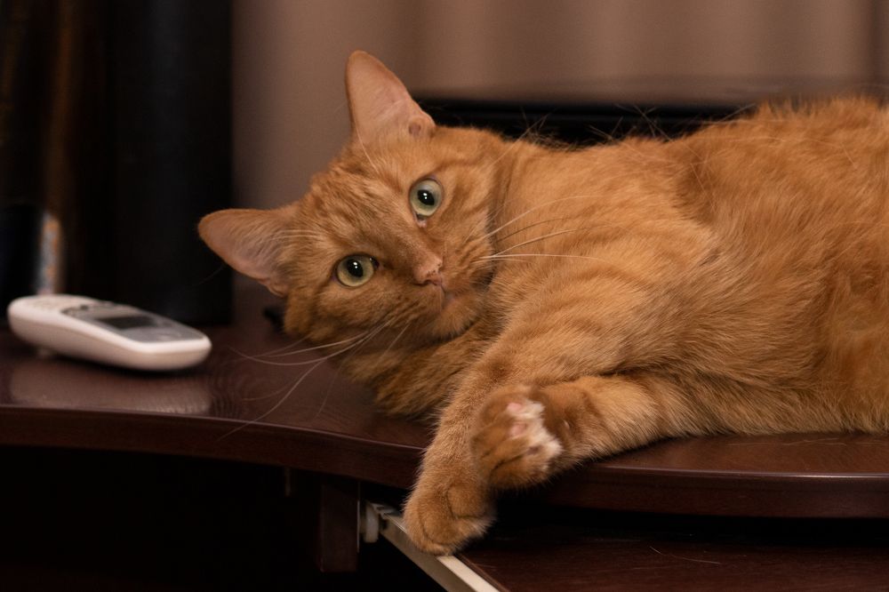 Photograph by Сергей Пюннинен