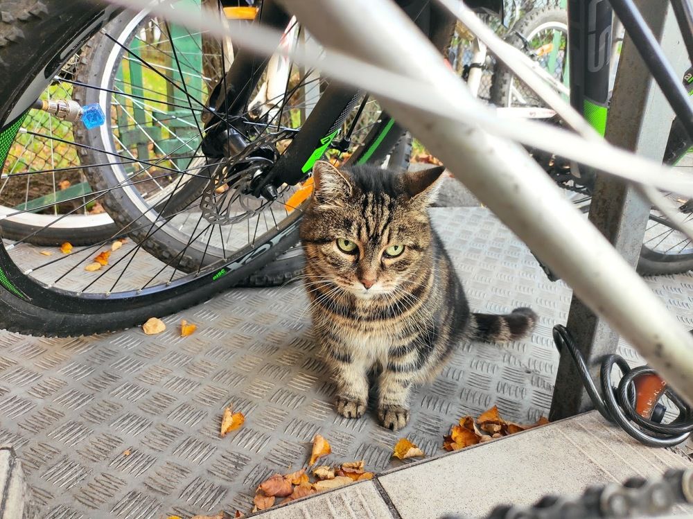 Photograph by Сергей Пюннинен