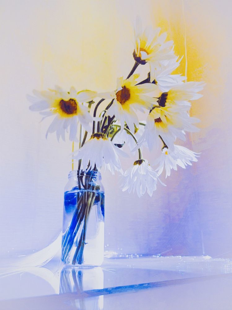 Photograph by Марина Хохрякова