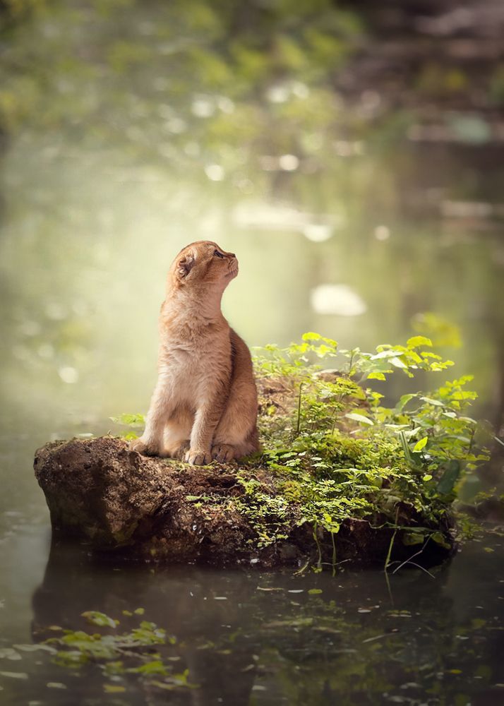 Photograph by Галина Аверьянова