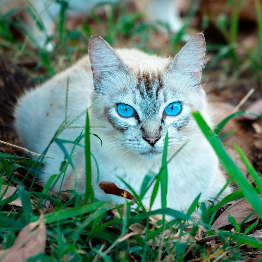 Photograph by Christofer Silva Oliveira