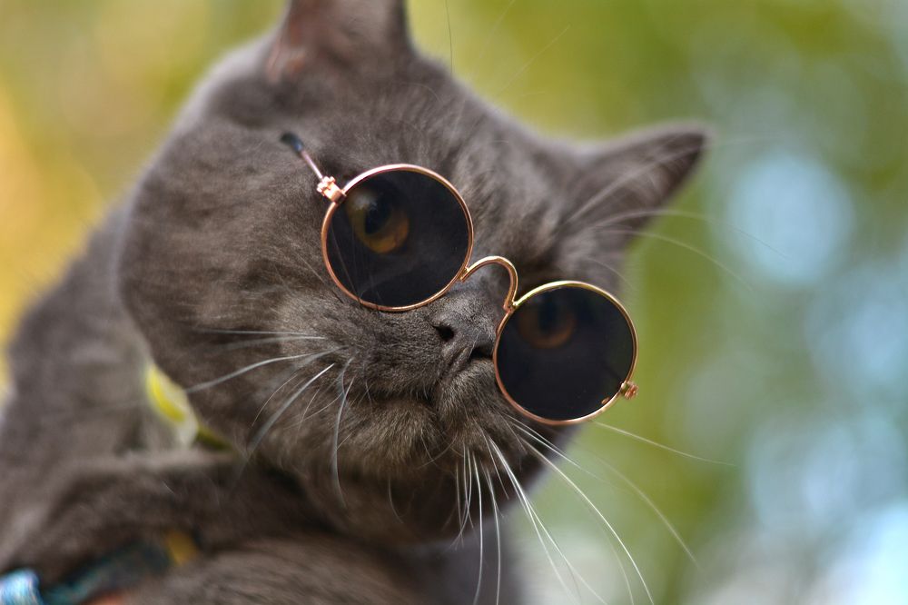 Photograph by Антонина Проскурина