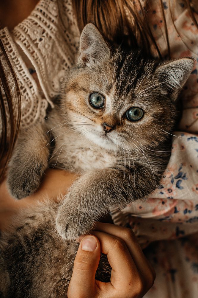 Photograph by Евгения Фоменкова