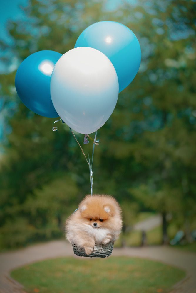 Photograph by Екатерина Котик