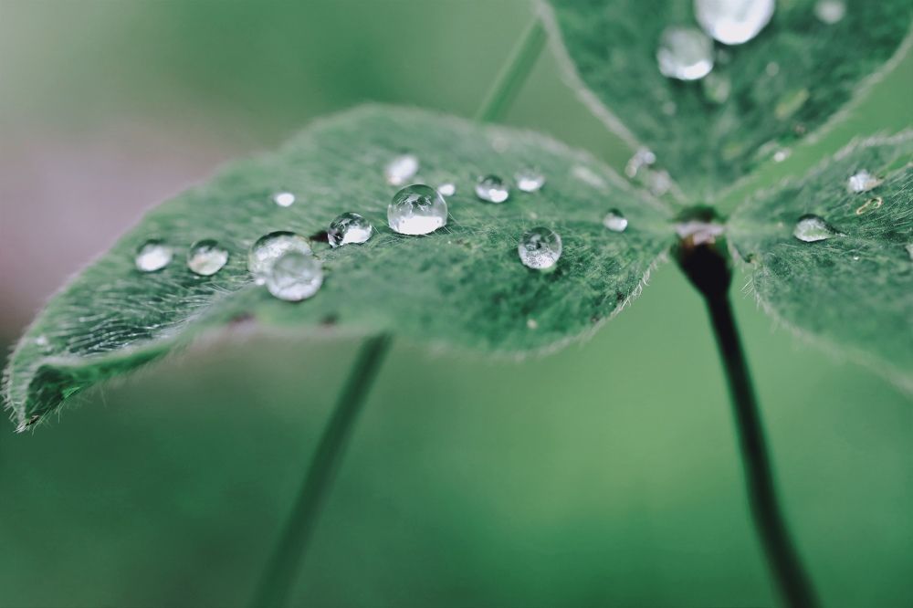 Photograph by Ольга Метлицкая