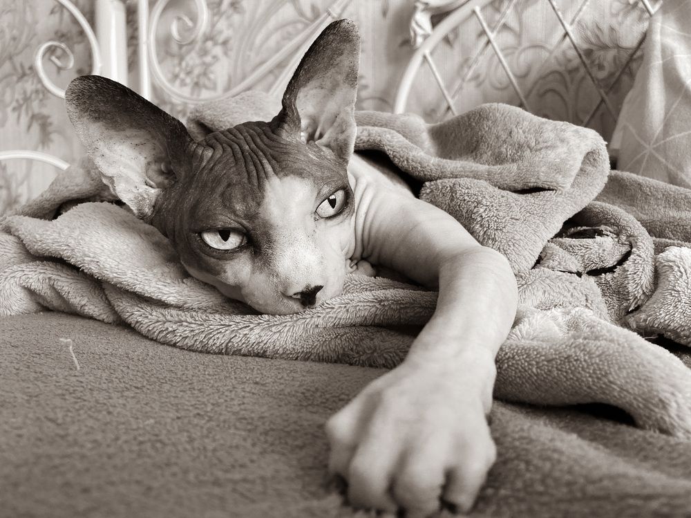 Photograph by Ксения Левченко