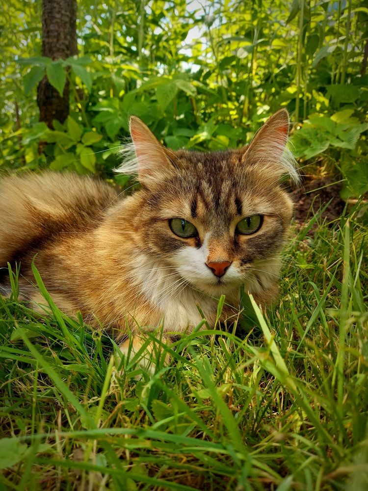 Photograph by Екатерина Морозова