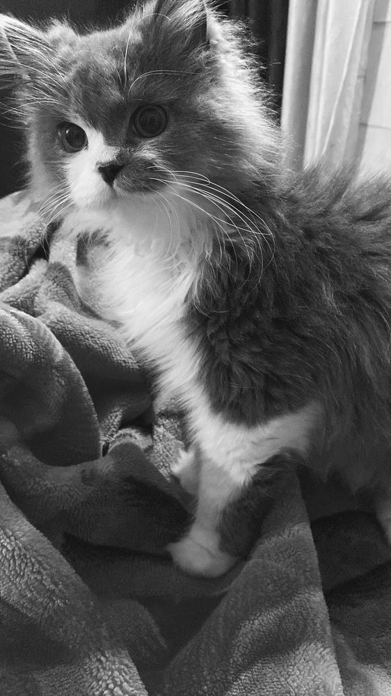 Photograph by Sharma Dr Megha