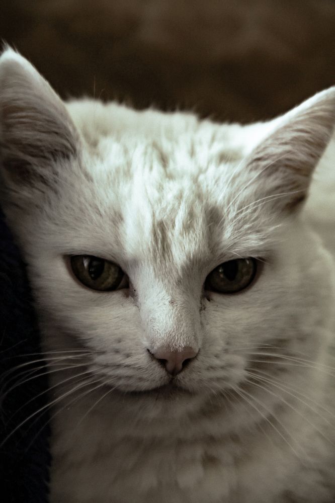 Photograph by Анастасия Псарёва