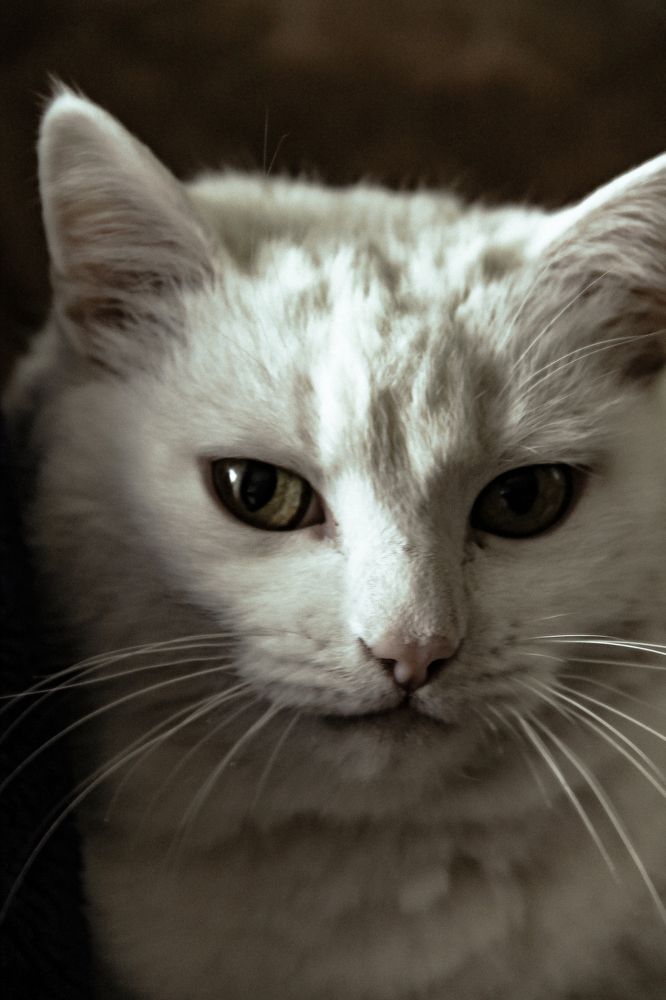 Photograph by Анастасия Псарёва