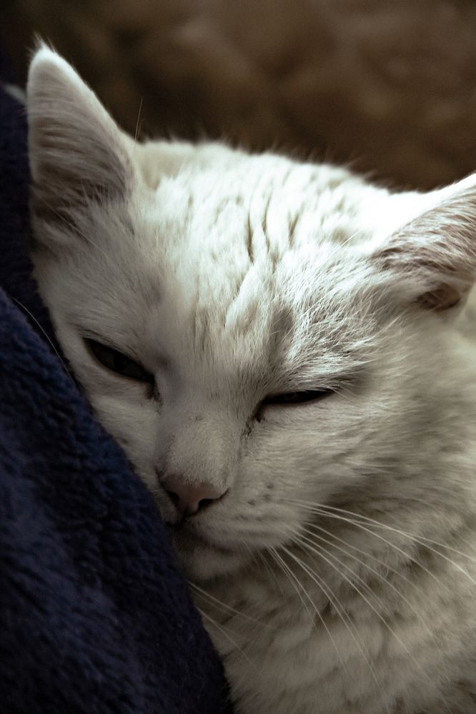 Photograph by Анастасия Псарёва