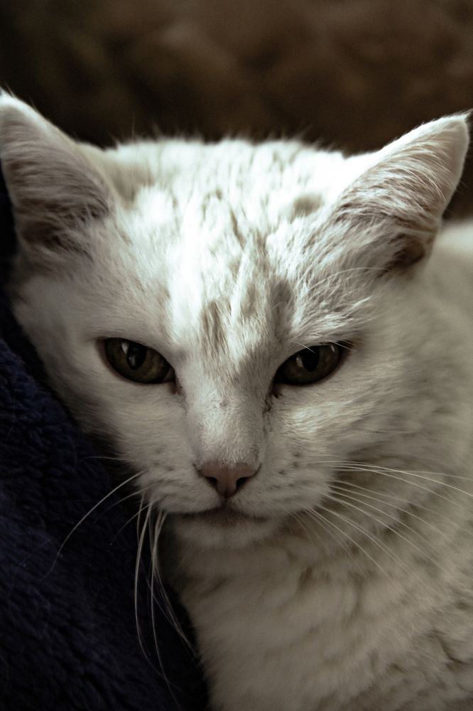 Photograph by Анастасия Псарёва