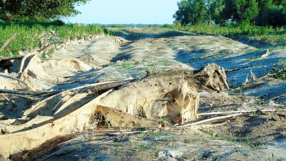 Photograph by Надежда Батракова