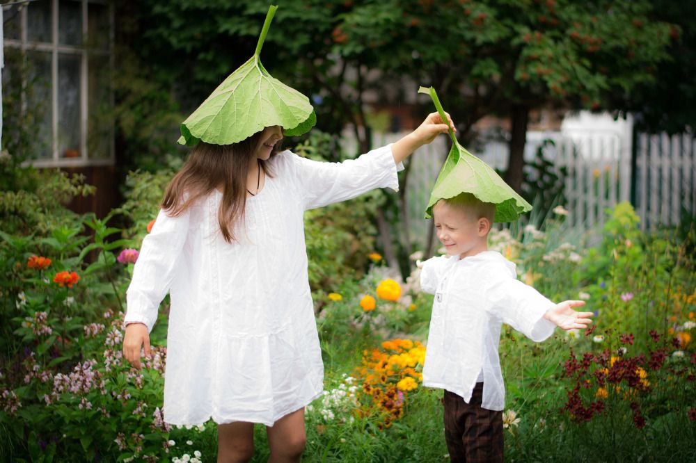 Грибной дождик