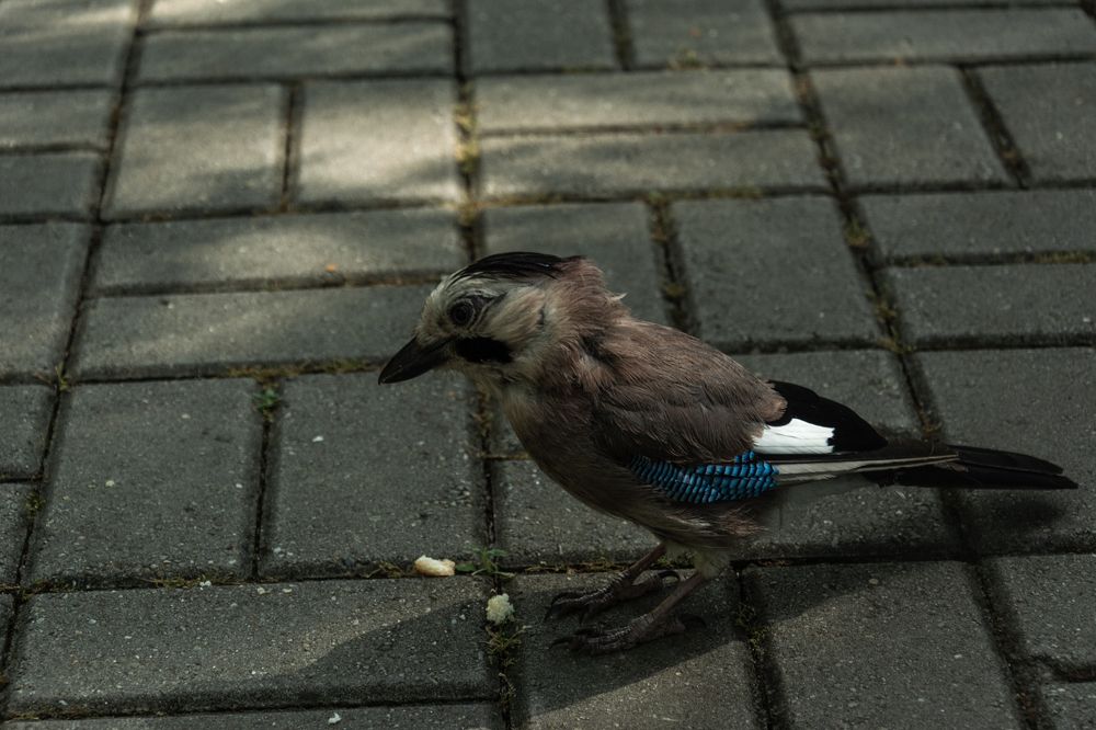 Photograph by Ольга Салтыкова