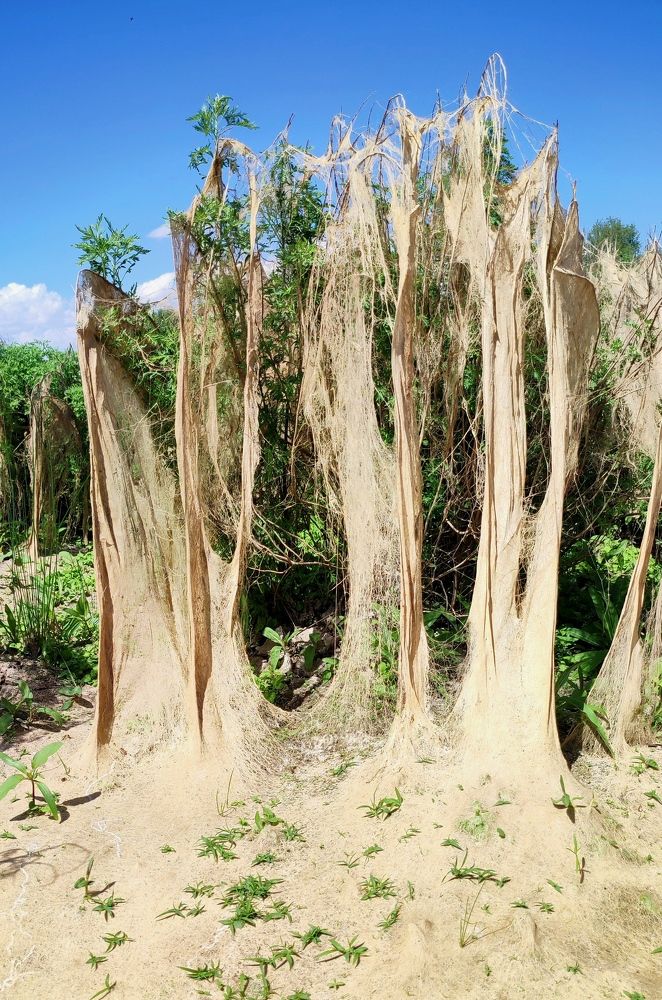 Photograph by Надежда Батракова