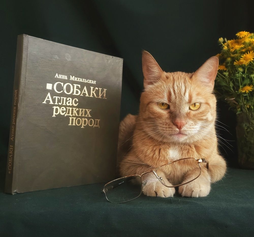 Photograph by Инга Сабанова