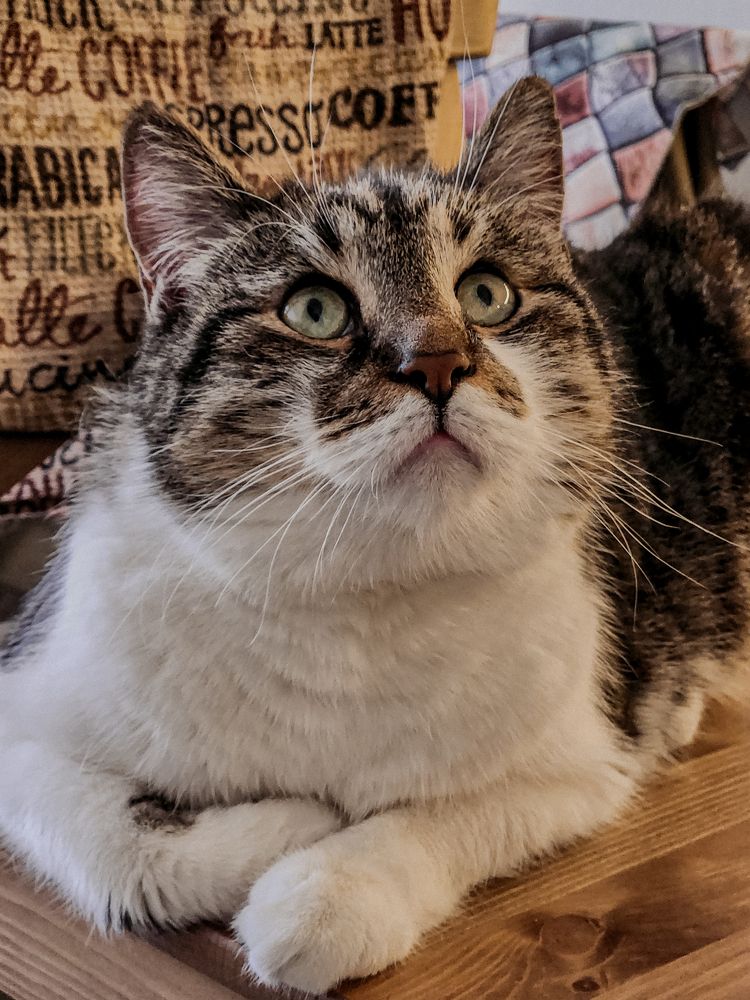 Photograph by Inna Iudina