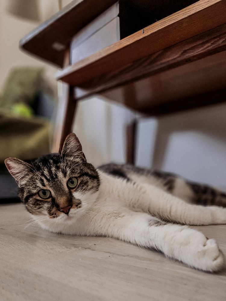 Photograph by Inna Iudina