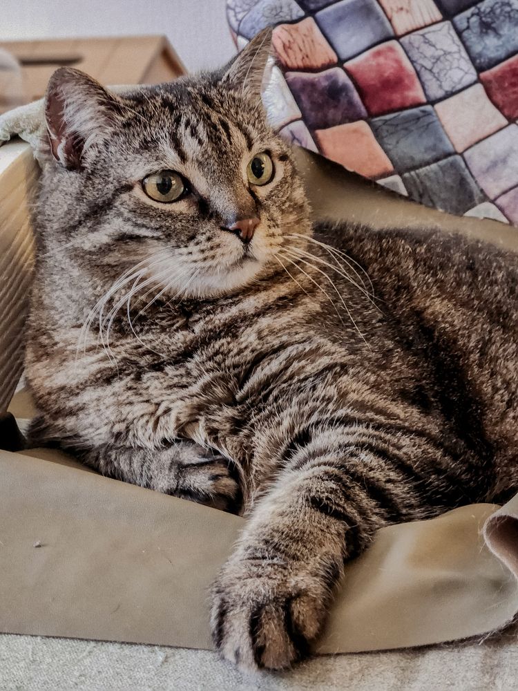 Photograph by Inna Iudina