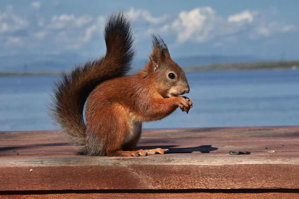 Photograph by Olga Akhmetova