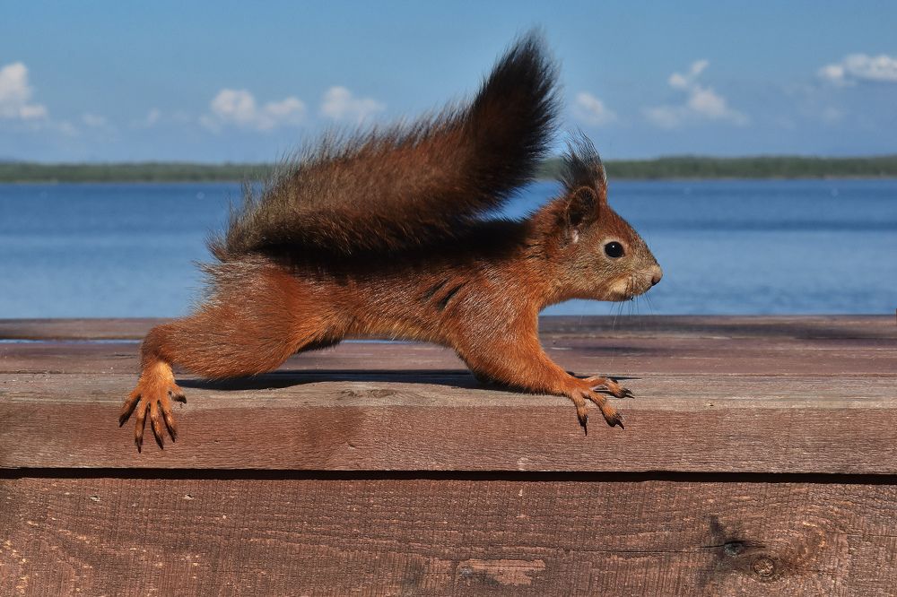 Photograph by Olga Akhmetova