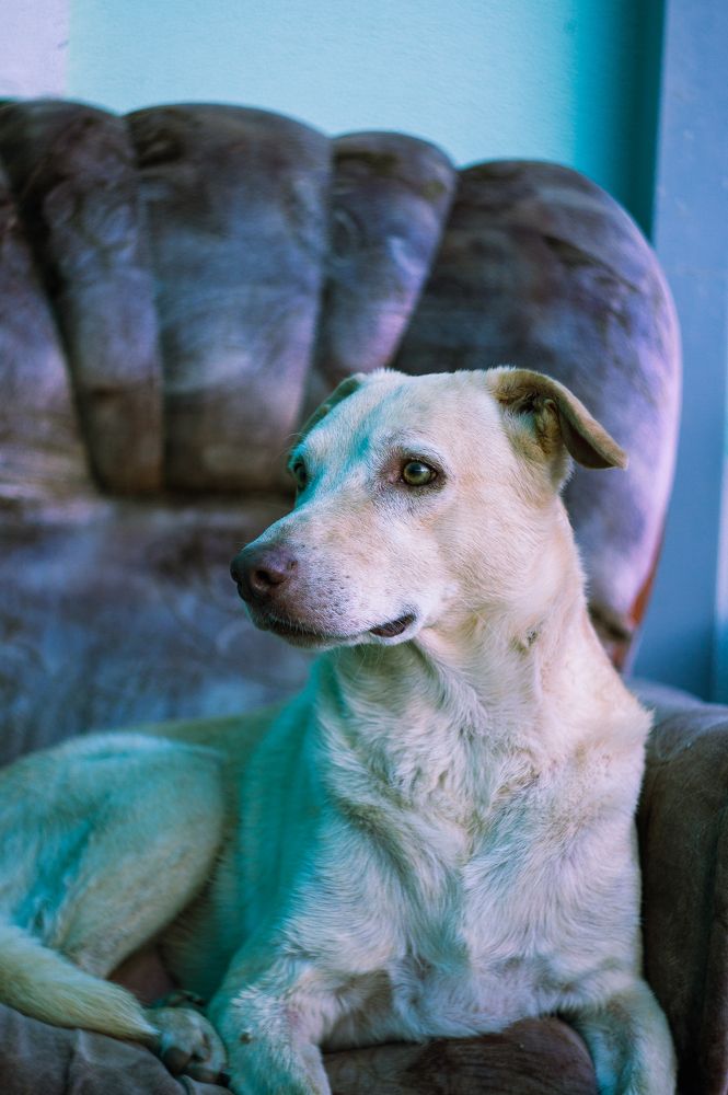 Photograph by Валерий Ворошилов