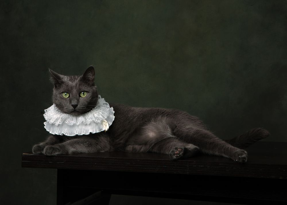 Photograph by Туева Наталья