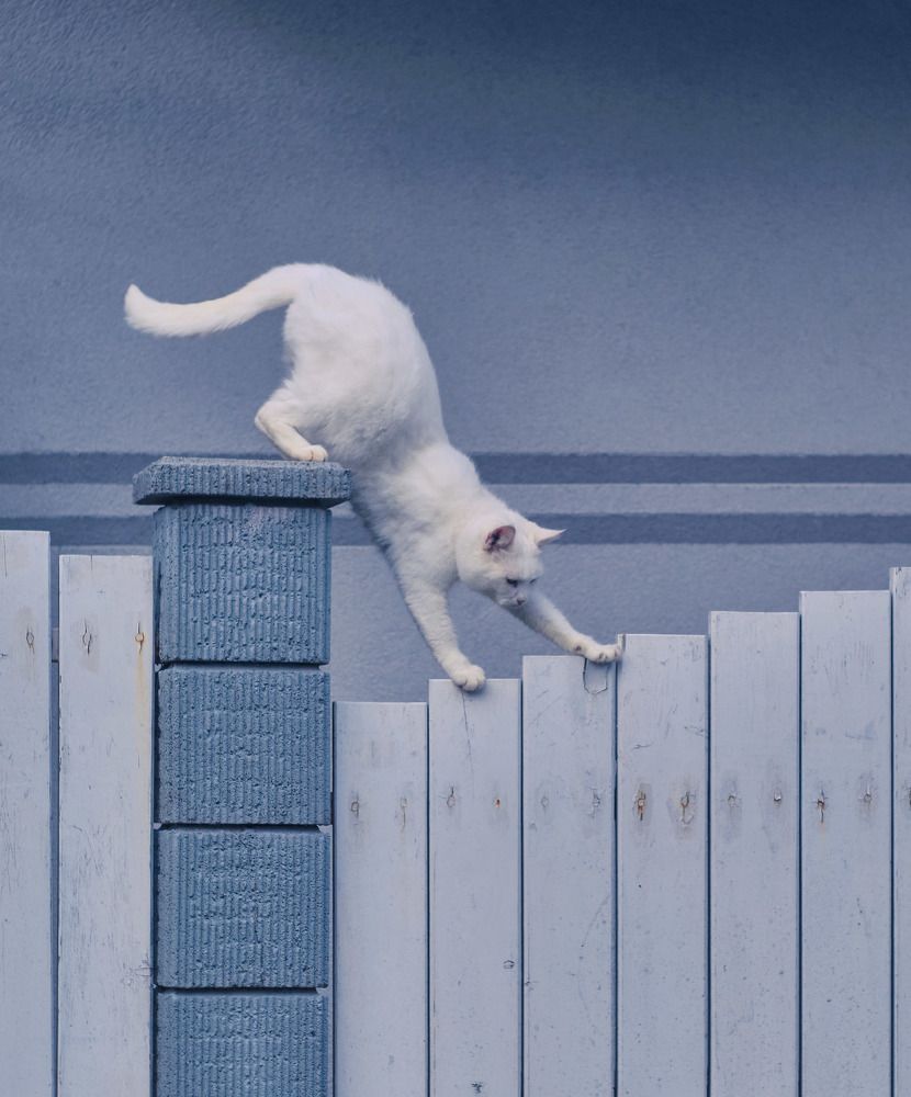 Photograph by Rudi Uran