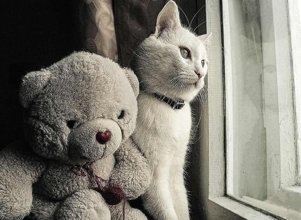 Photograph by Ирина Архипова