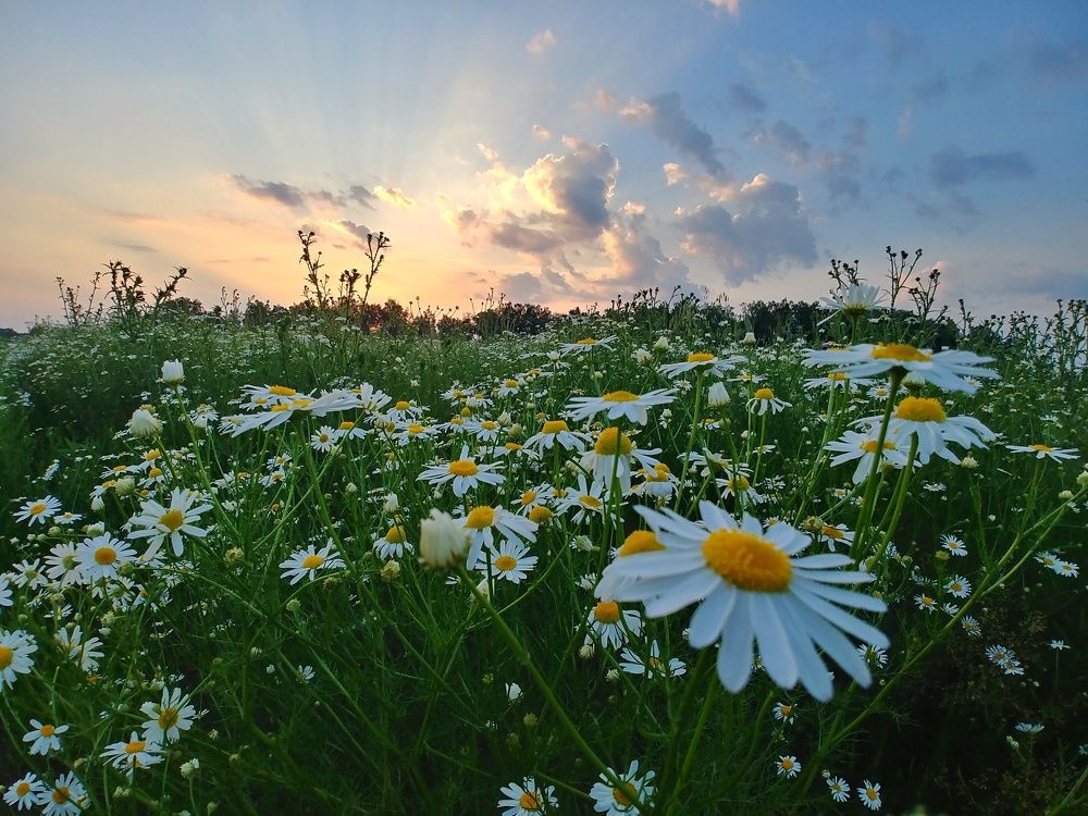 Photograph by Константин Степанов