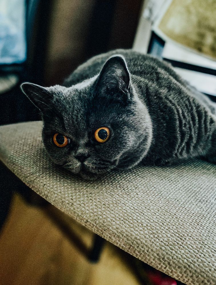 Photograph by Виктория Лаур