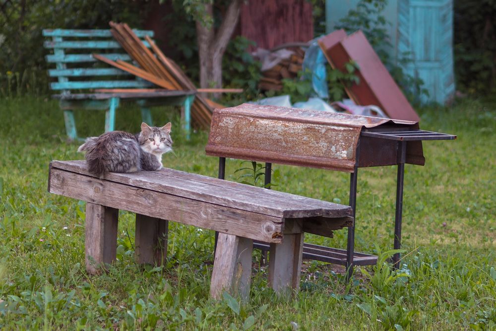Photograph by Сергей Пушкин