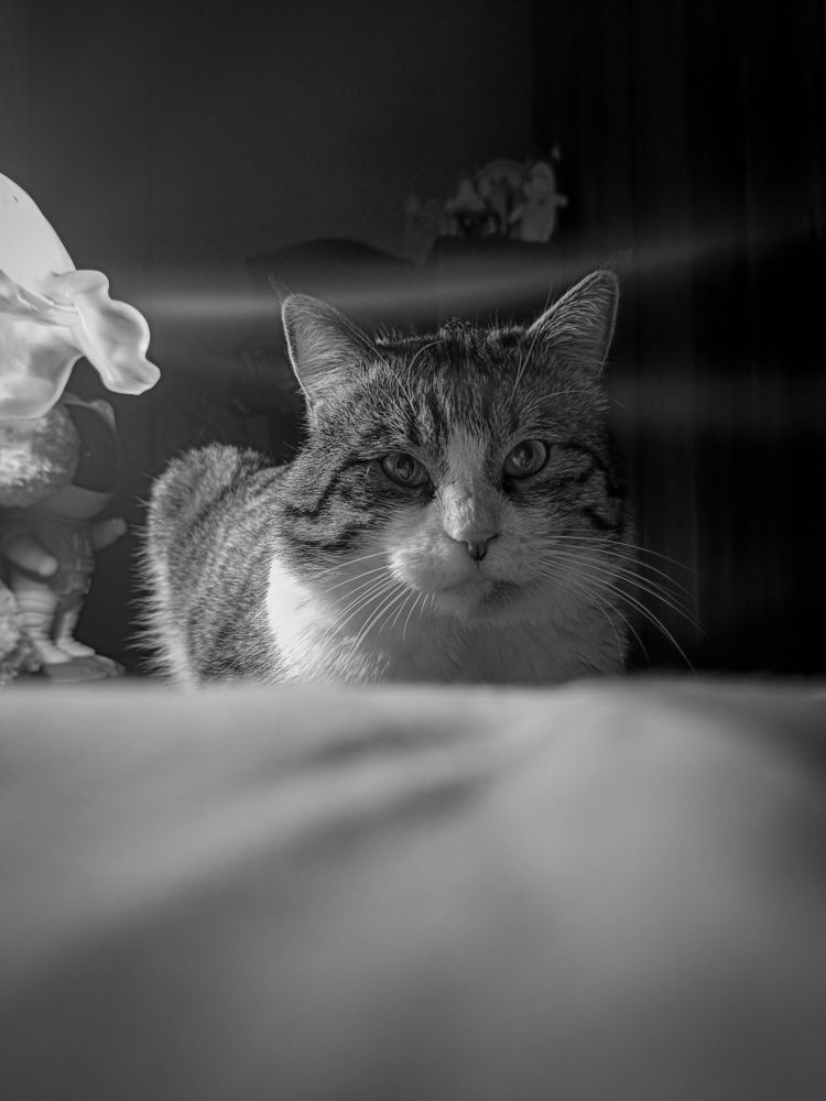 Фотография автора Кристина Шефер