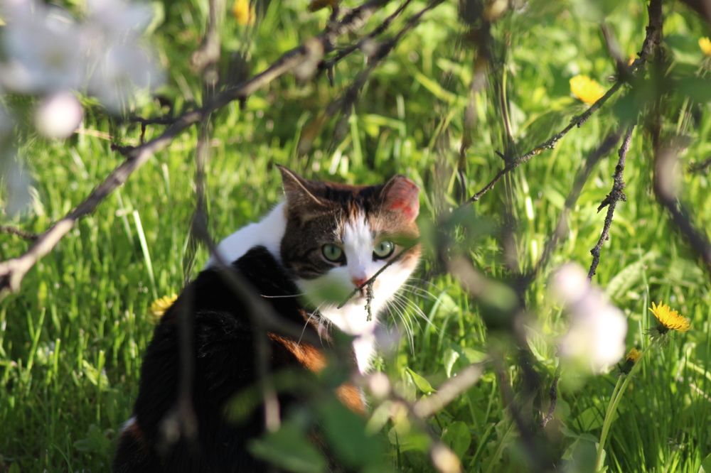 Photograph by Валентина