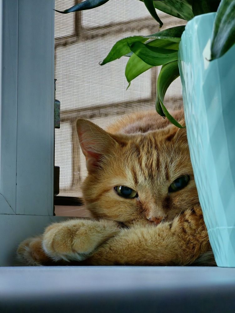 Photograph by Руслан Поляков