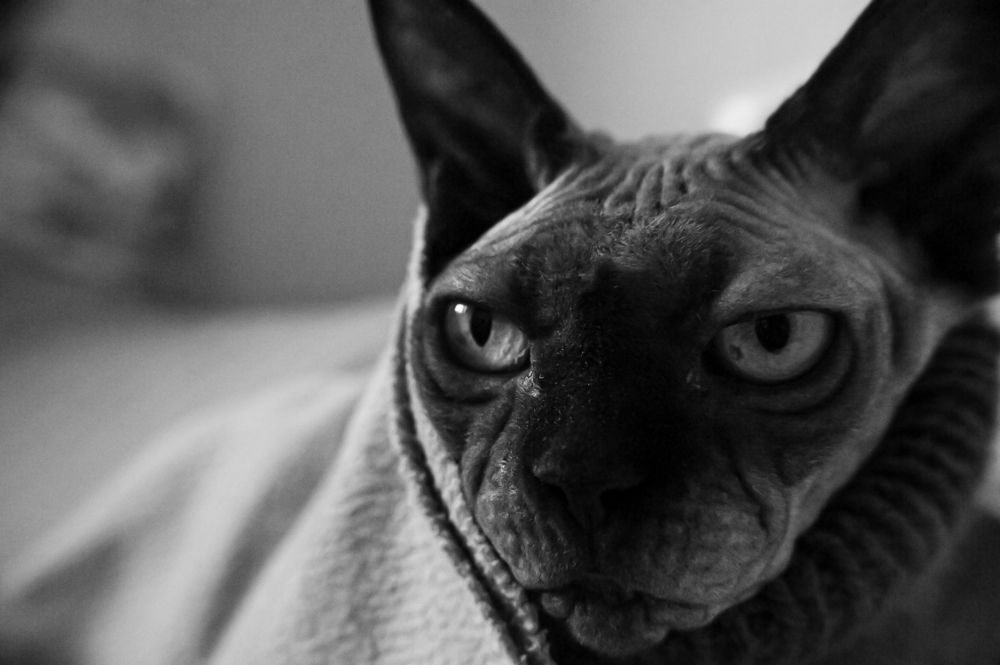 Photograph by Елизавета Корнилова