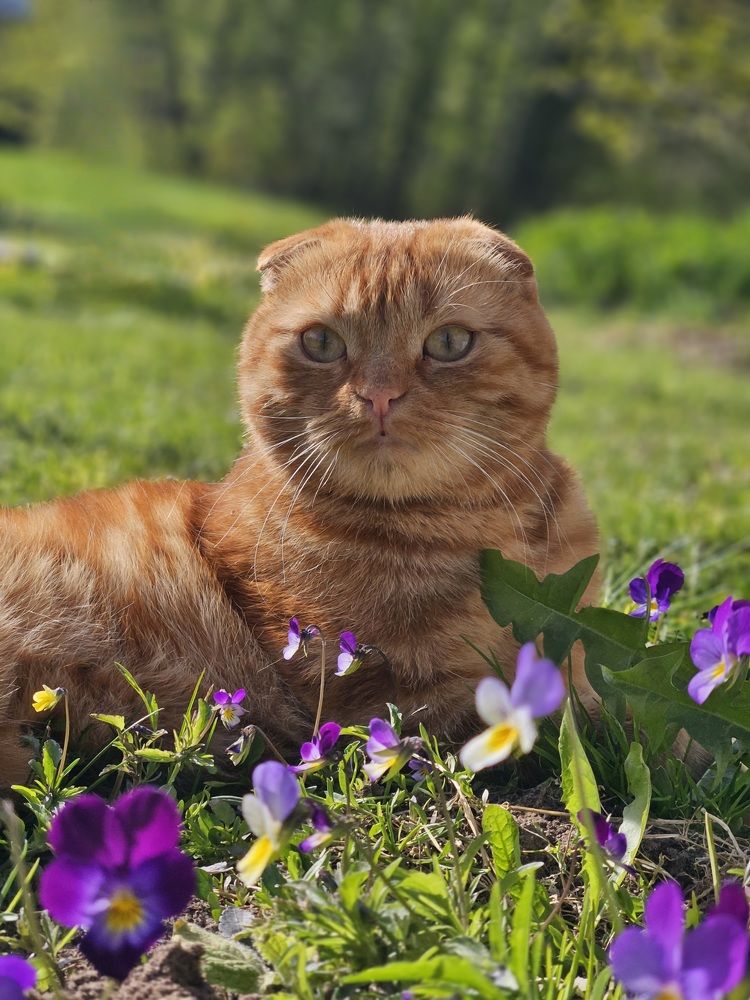 Photograph by Светлана Алексеева