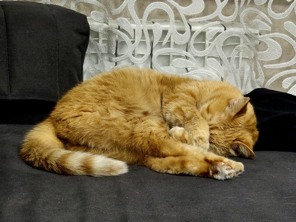 Photograph by Руслан Поляков