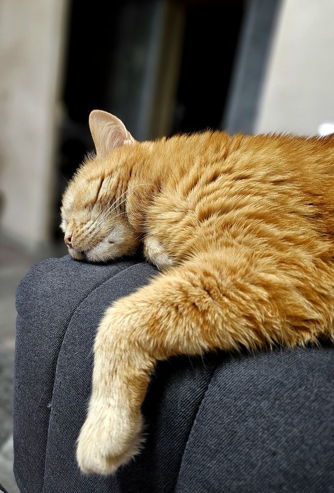 Photograph by Руслан Поляков