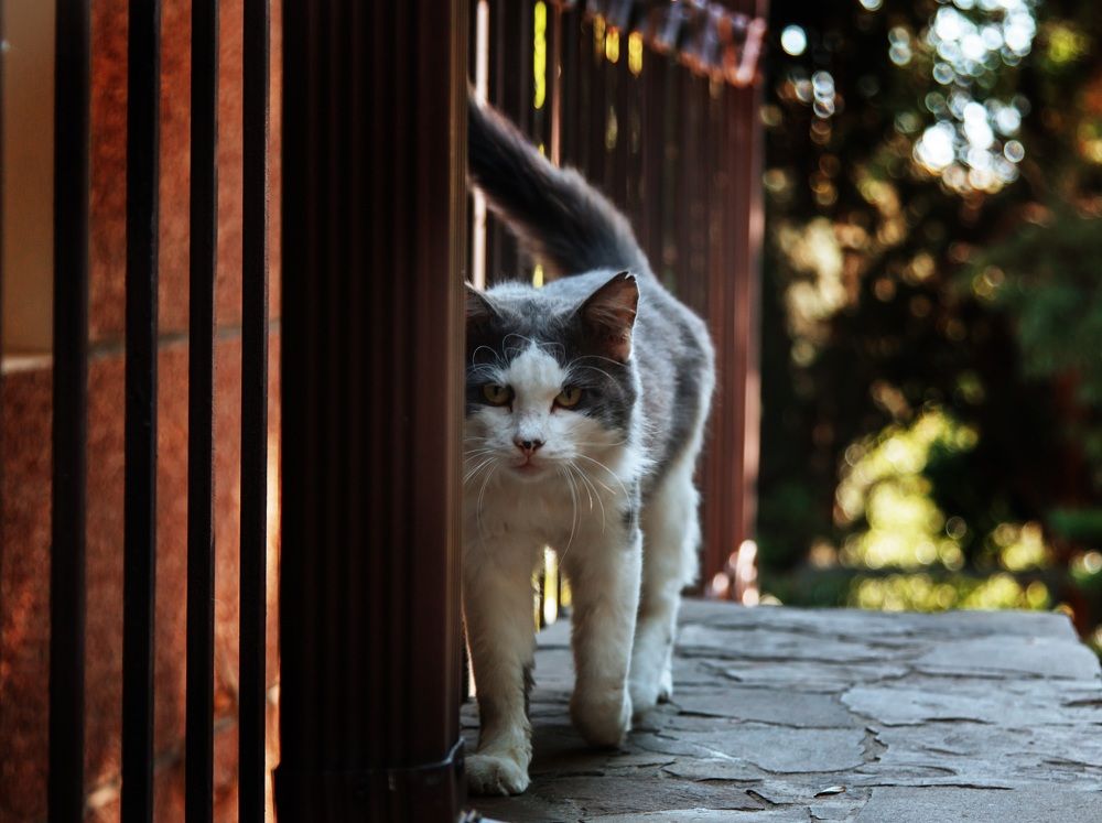 Photograph by Мария Мостипака