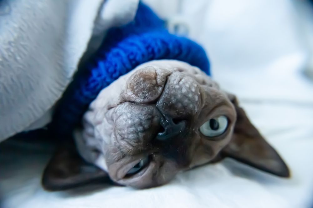Photograph by Елизавета Корнилова