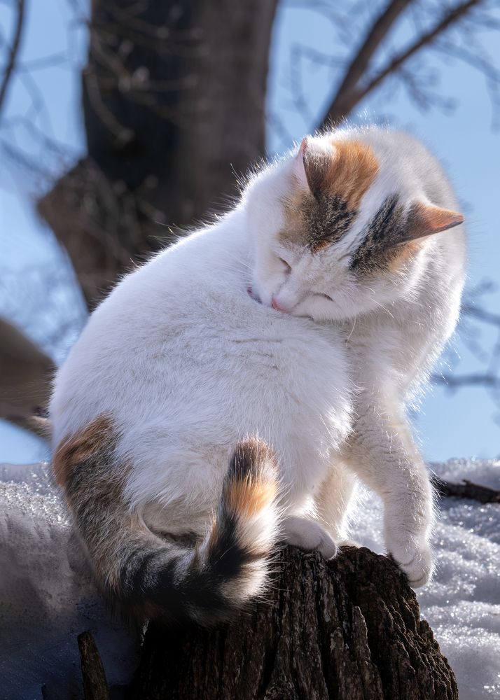 Photograph by Наталья Максимова