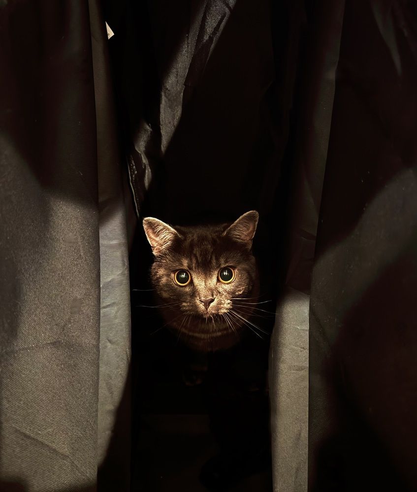 Photograph by Алина Захарова