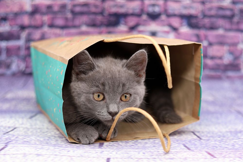 Photograph by Юлия Волошина